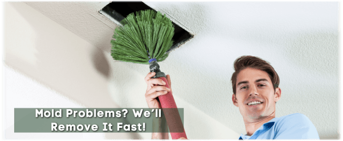 Air Duct Mold Removal in Arlington TX