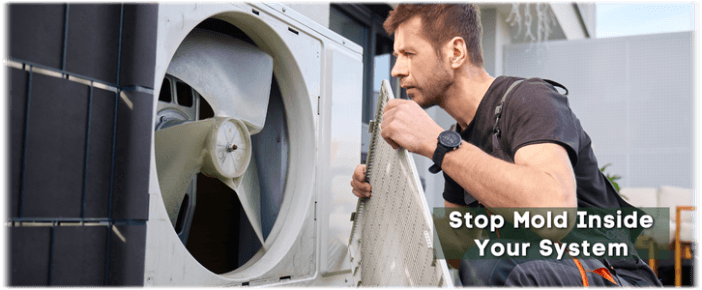 HVAC Mold Removal Arlington TX
